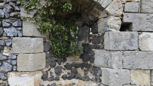 Château de Turluron [22-01-2022](0373).jpg